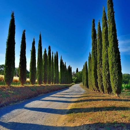 Agriturismo Boschetto Di Montiano Монтияно Экстерьер фото