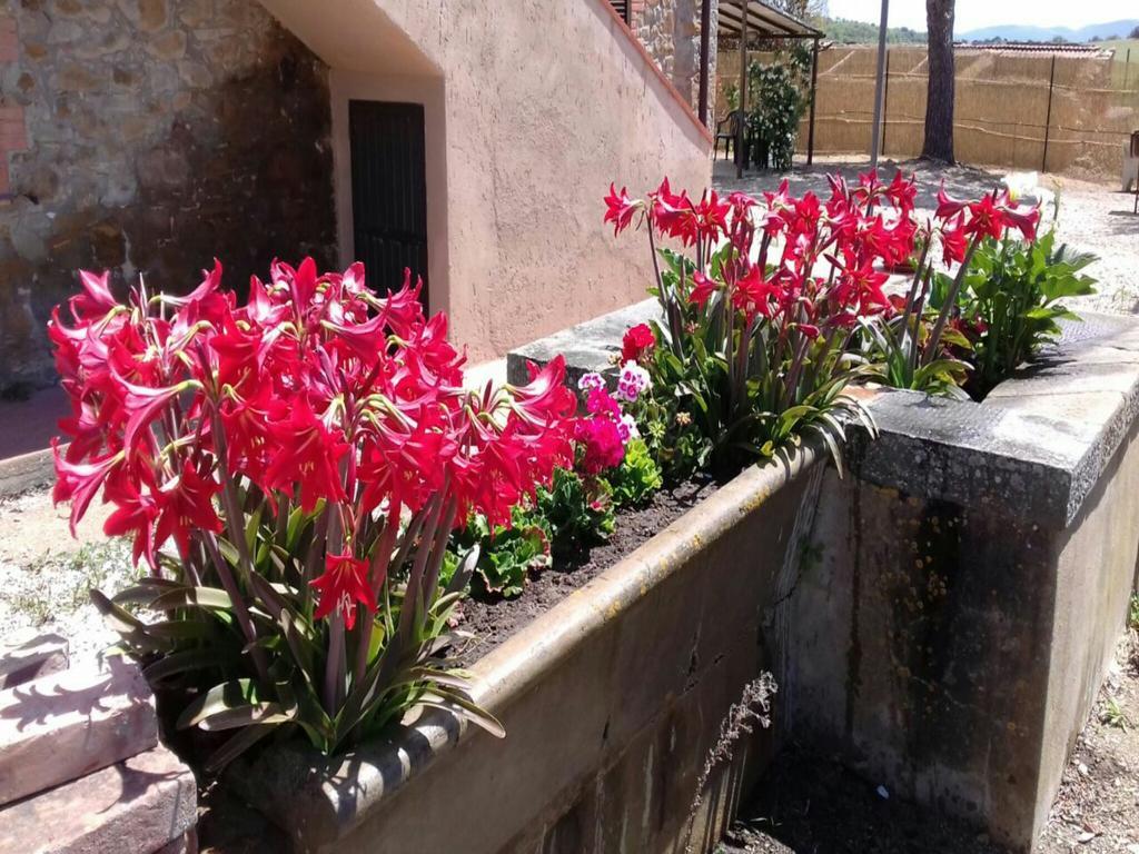 Agriturismo Boschetto Di Montiano Монтияно Экстерьер фото