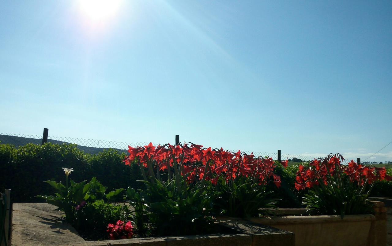 Agriturismo Boschetto Di Montiano Монтияно Экстерьер фото