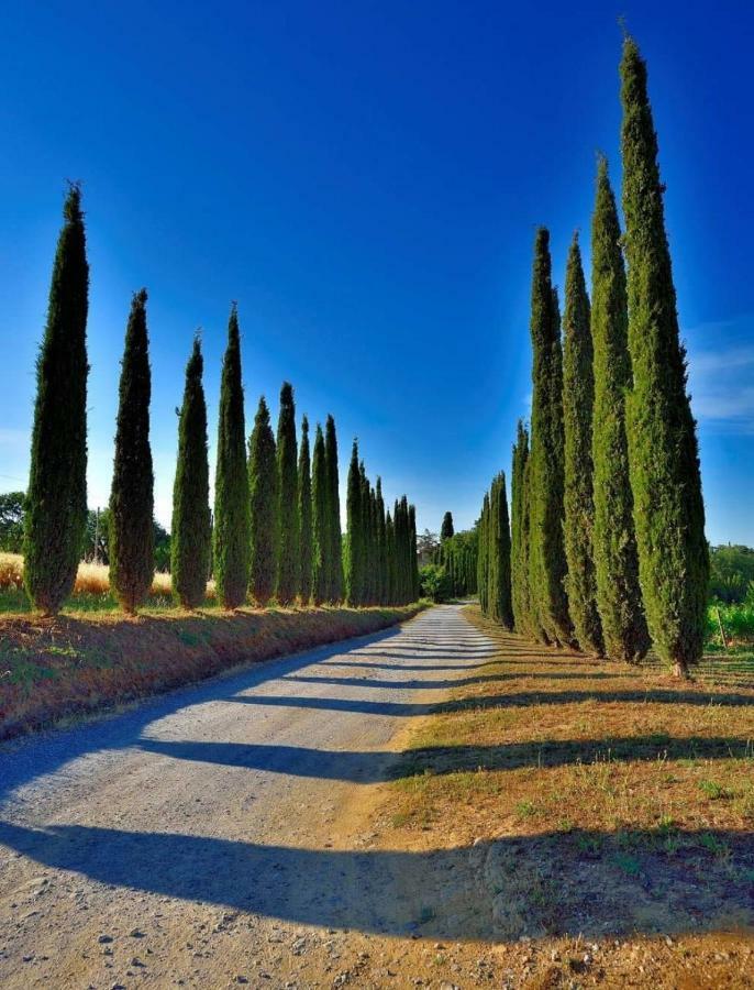 Agriturismo Boschetto Di Montiano Монтияно Экстерьер фото